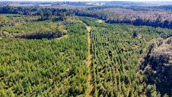 181.28 Acres of Recreational Land for Sale in Bonifay, Florida