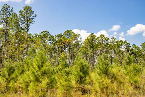 340.62 Acres of Land for Sale in Bonifay, Florida