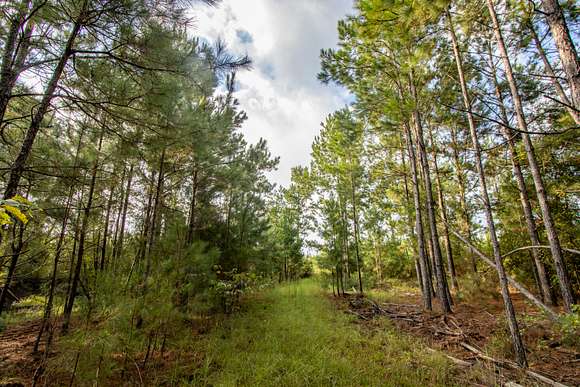 10.91 Acres of Land for Sale in Cottondale, Florida