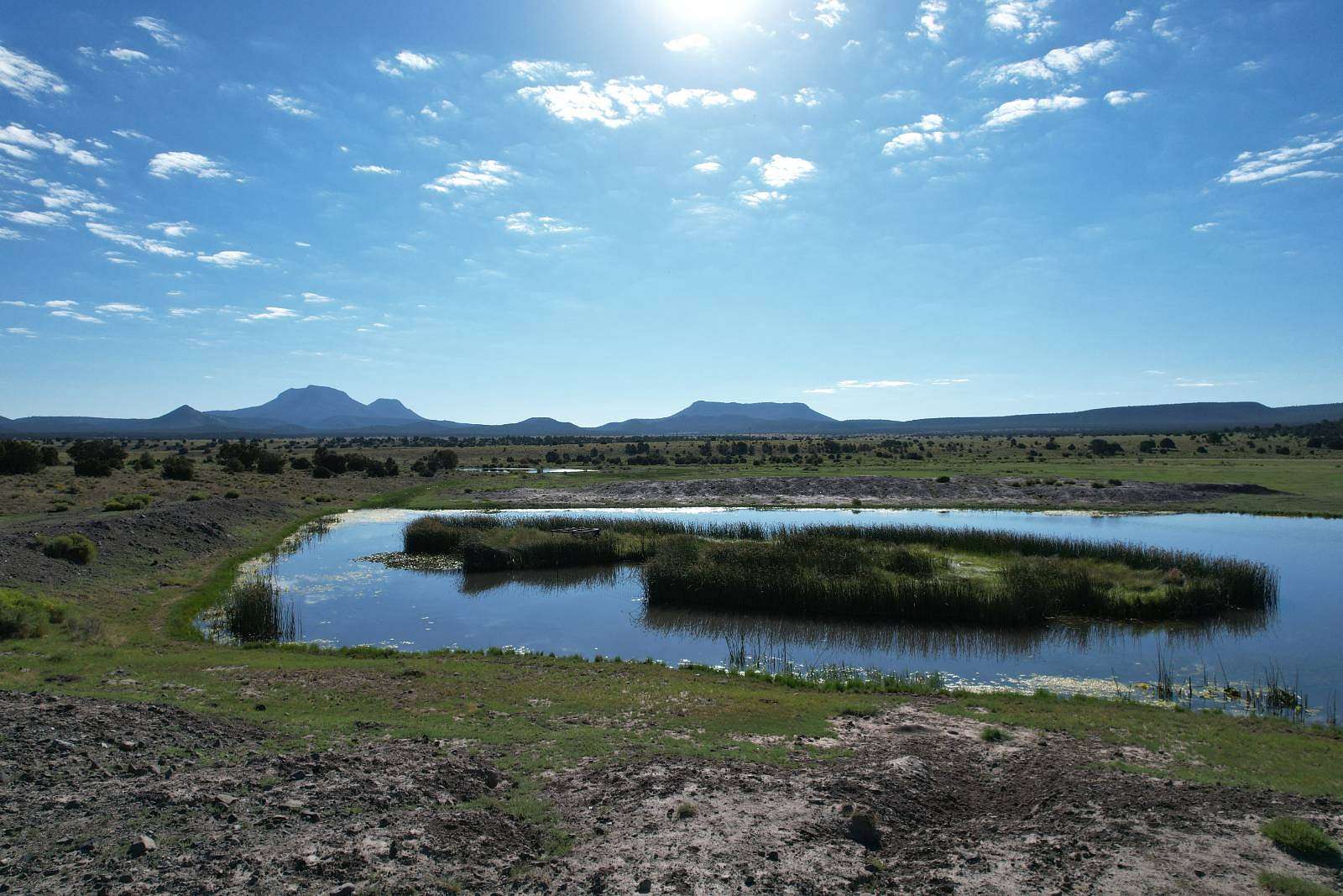 76.56 Acres of Recreational Land for Sale in Datil, New Mexico