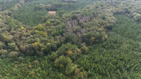 63 Acres of Recreational Land for Sale in Troy, Alabama