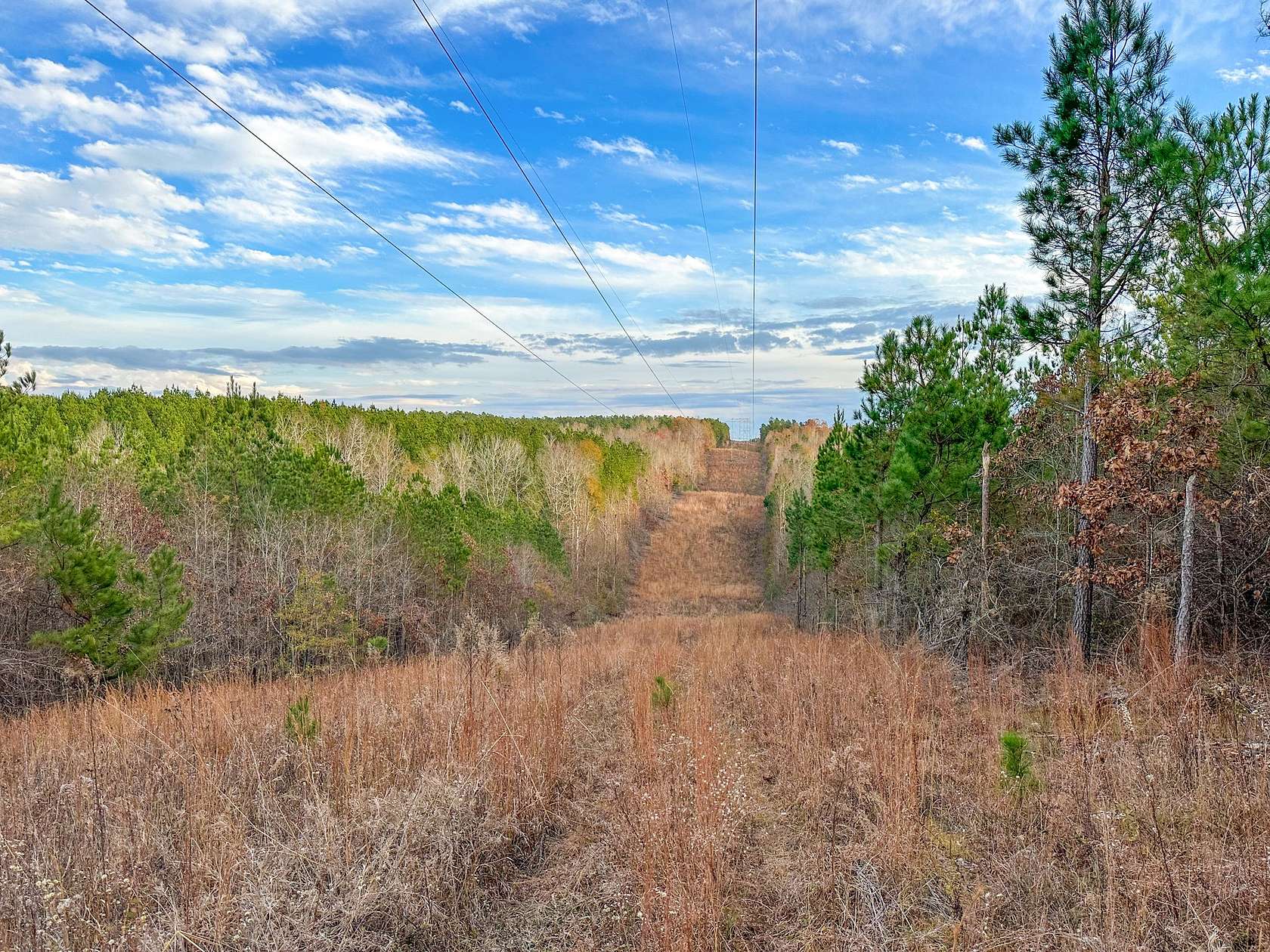 41 Acres of Recreational Land for Sale in Goodwater, Alabama