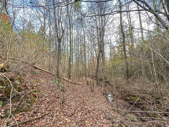 40 Acres of Recreational Land for Sale in Goodwater, Alabama