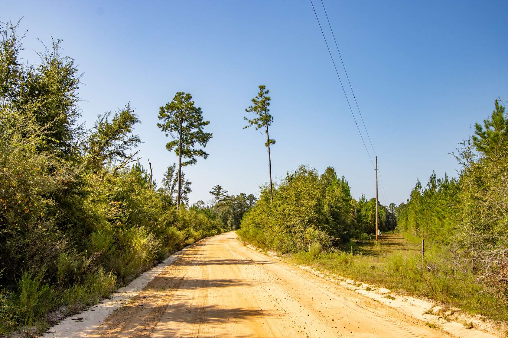 12.37 Acres of Land for Sale in Bonifay, Florida