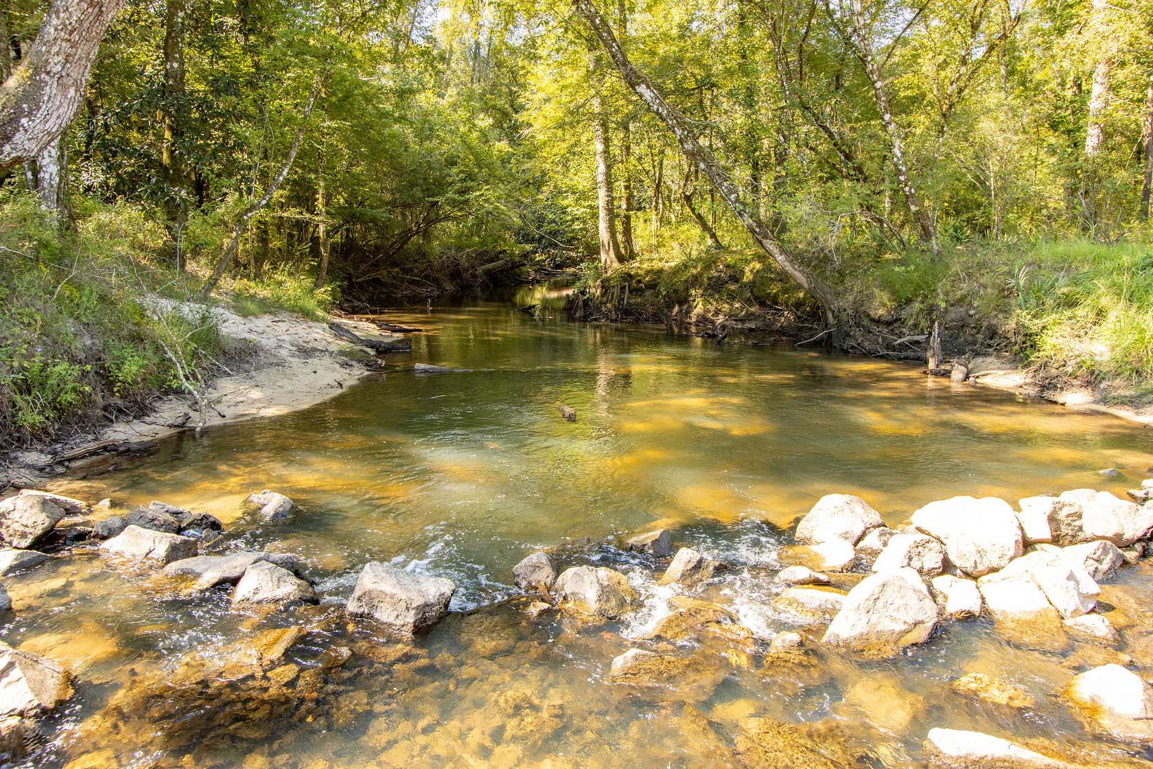 17.33 Acres of Land for Sale in Bonifay, Florida