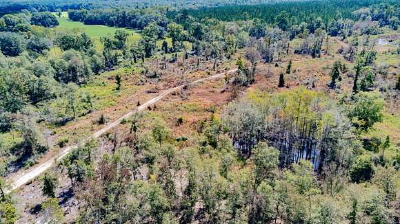 15.38 Acres of Land for Sale in Bonifay, Florida