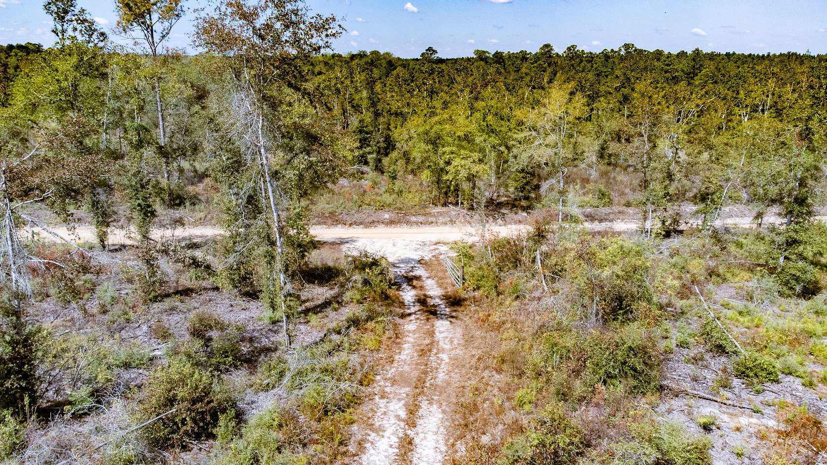 15.46 Acres of Land for Sale in Bonifay, Florida