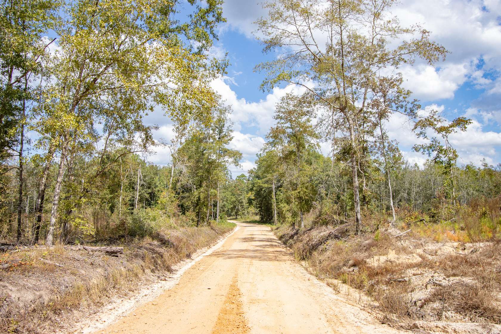 15.46 Acres of Land for Sale in Bonifay, Florida