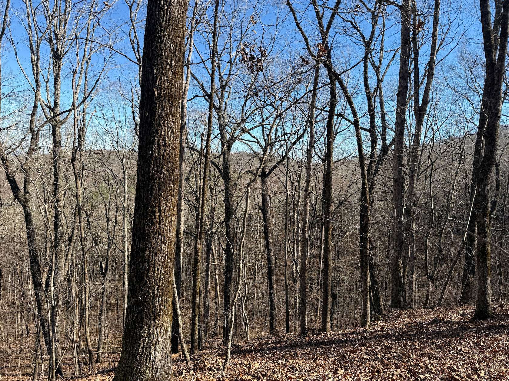 5.62 Acres of Residential Land for Sale in Heflin, Alabama