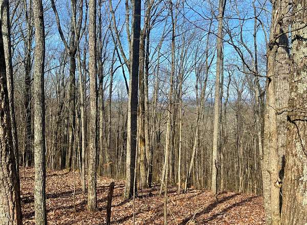 5.62 Acres of Residential Land for Sale in Heflin, Alabama