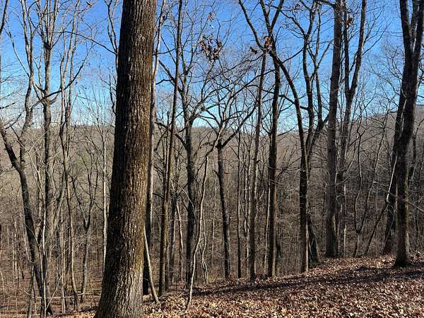 5.62 Acres of Residential Land for Sale in Heflin, Alabama