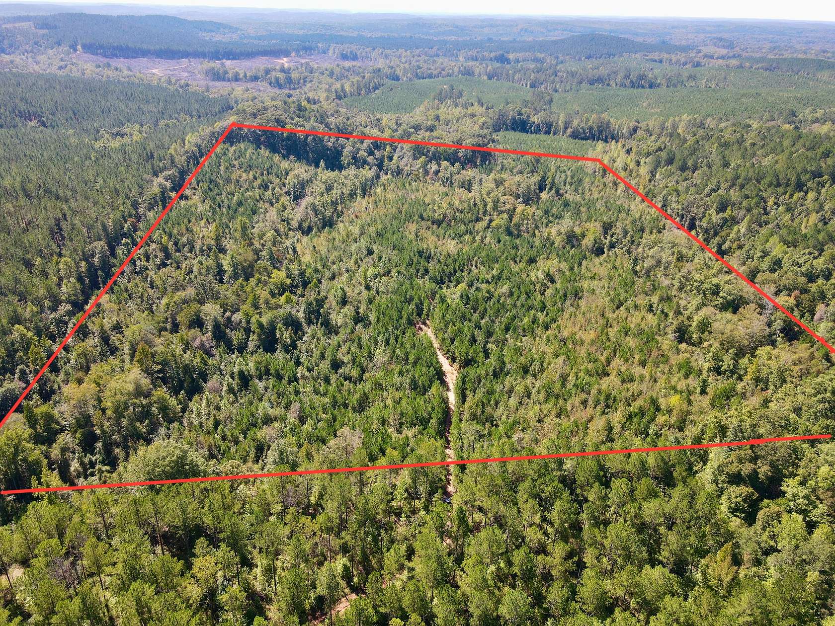 30 Acres of Recreational Land for Sale in Goodwater, Alabama