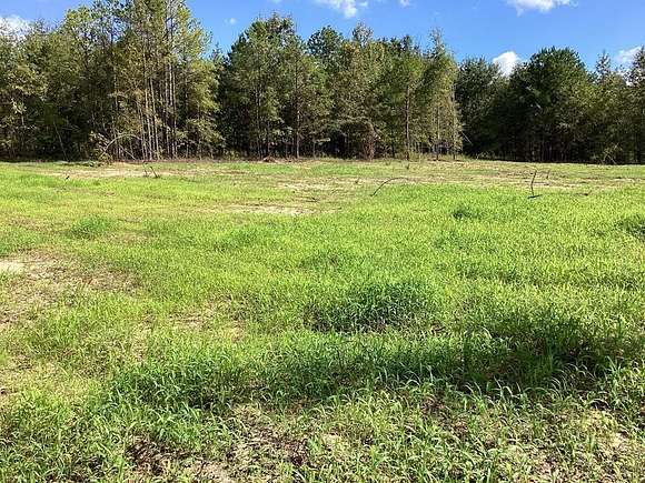 3.38 Acres of Residential Land for Sale in Highland Home, Alabama