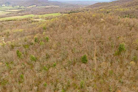 92.42 Acres of Recreational Land for Sale in Montvale, Virginia