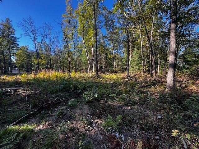 0.22 Acres of Land for Sale in Idlewild, Michigan