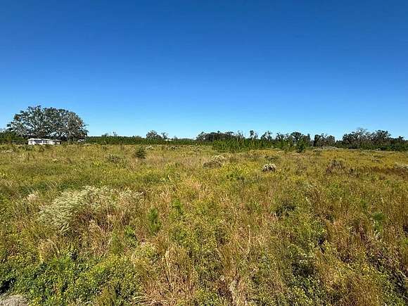 5.07 Acres of Residential Land for Sale in Bell, Florida