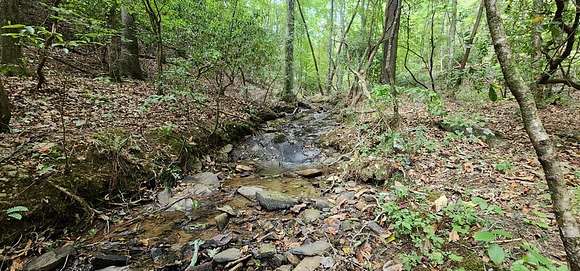 22.65 Acres of Land for Sale in Ellijay, Georgia