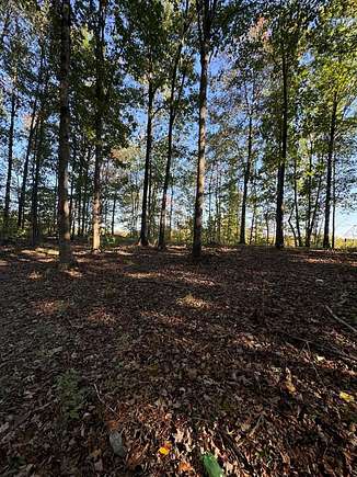 1.39 Acres of Residential Land for Sale in Jamestown, Tennessee