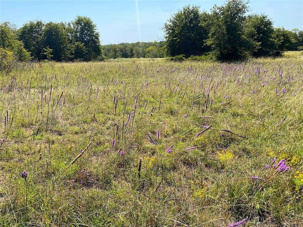 15 Acres of Land for Sale in Chico, Texas