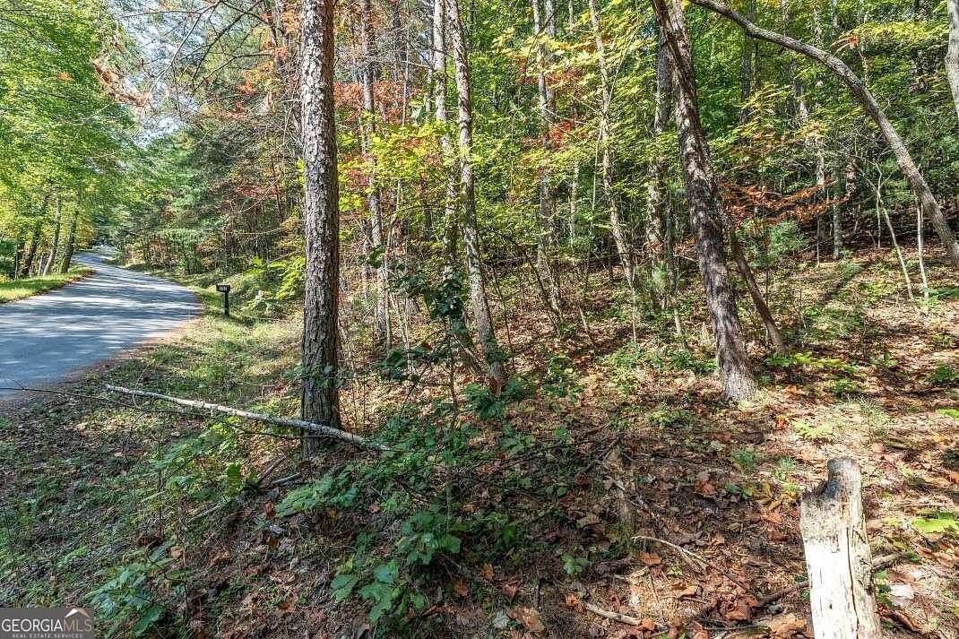 1.15 Acres of Residential Land for Sale in Blue Ridge, Georgia