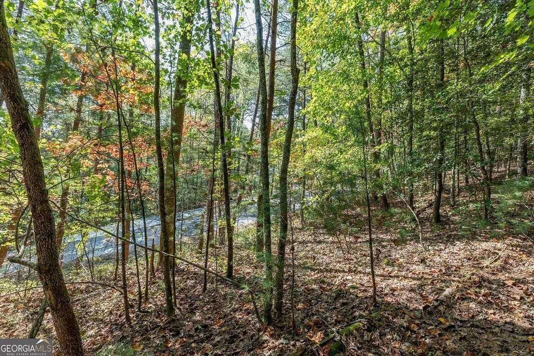 1.15 Acres of Residential Land for Sale in Blue Ridge, Georgia