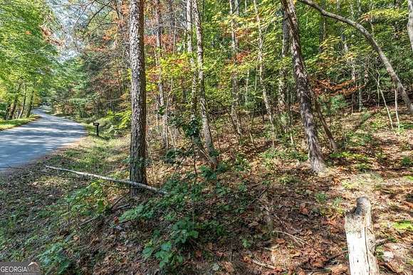 1.15 Acres of Residential Land for Sale in Blue Ridge, Georgia