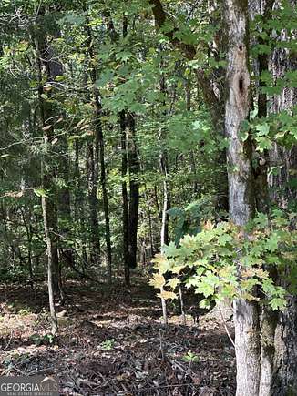 0.36 Acres of Residential Land for Sale in Monticello, Georgia