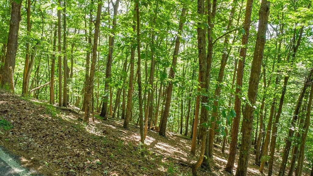 0.8 Acres of Residential Land for Sale in Jasper, Georgia