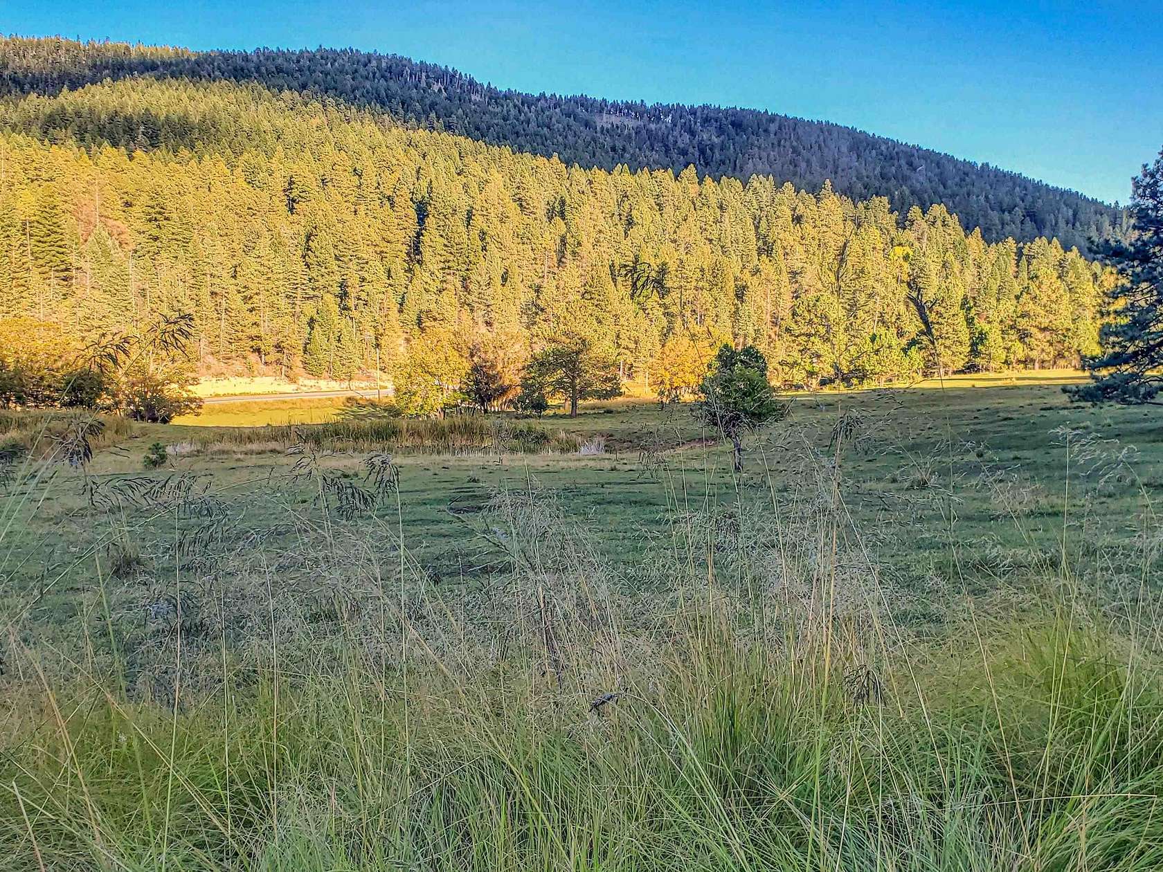 1.009 Acres of Residential Land for Sale in Cloudcroft, New Mexico