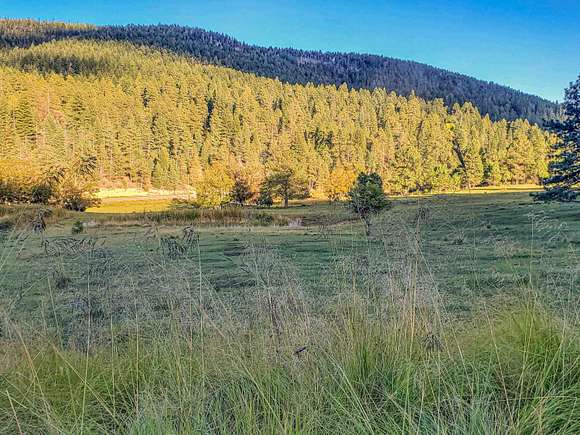 1.009 Acres of Residential Land for Sale in Cloudcroft, New Mexico