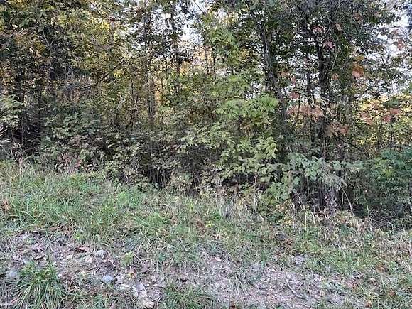 0.29 Acres of Residential Land for Sale in New Florence, Missouri