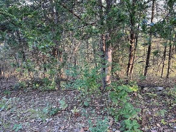 0.44 Acres of Residential Land for Sale in New Florence, Missouri