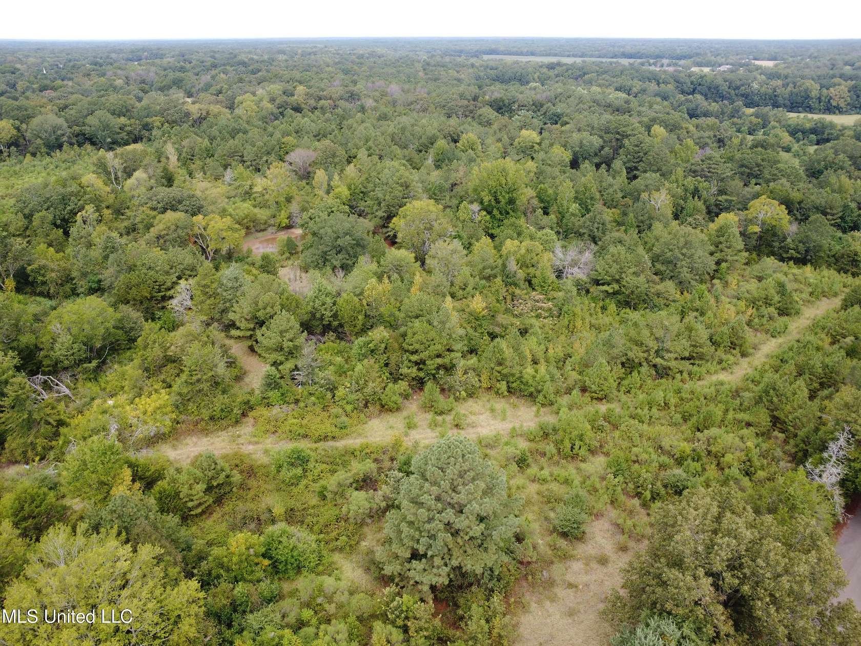 4.5 Acres of Land for Sale in Canton, Mississippi