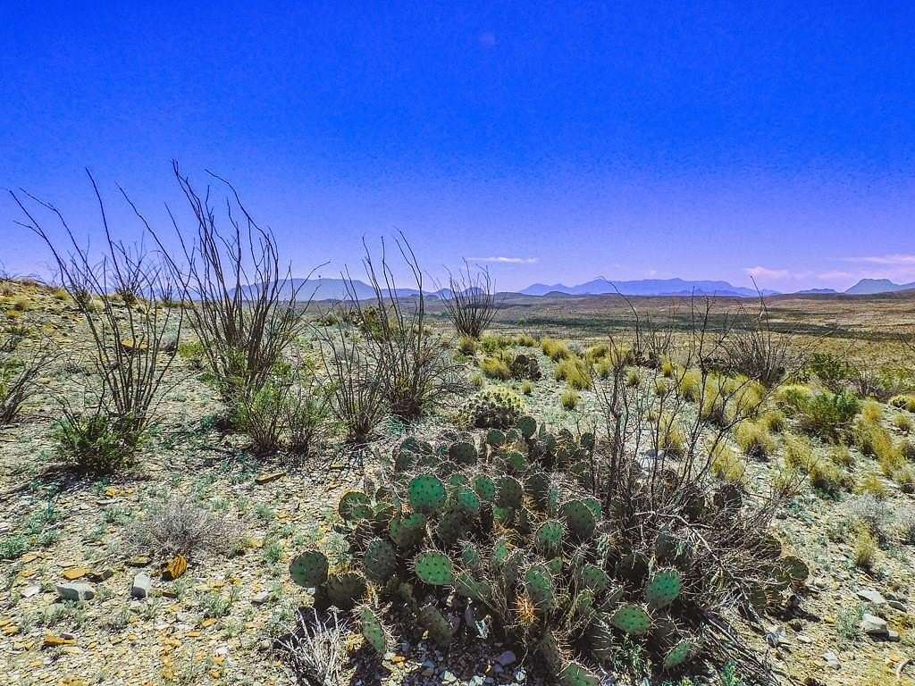 82 Acres of Land for Sale in Terlingua, Texas