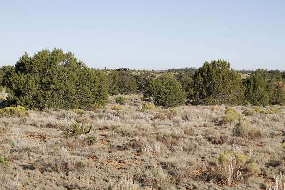 2.7 Acres of Recreational Land for Sale in Pinehill, New Mexico