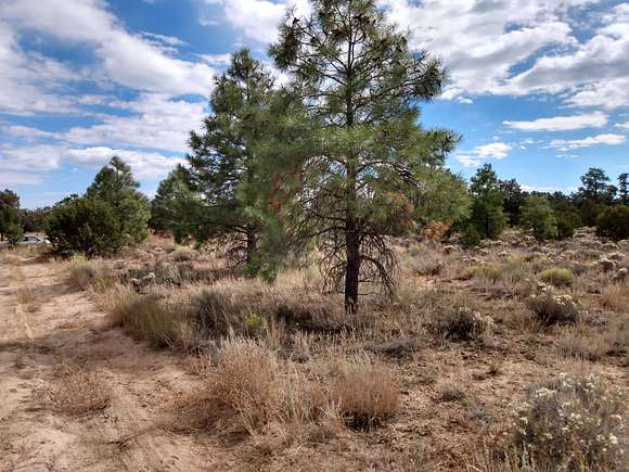 2.7 Acres of Recreational Land for Sale in Pinehill, New Mexico