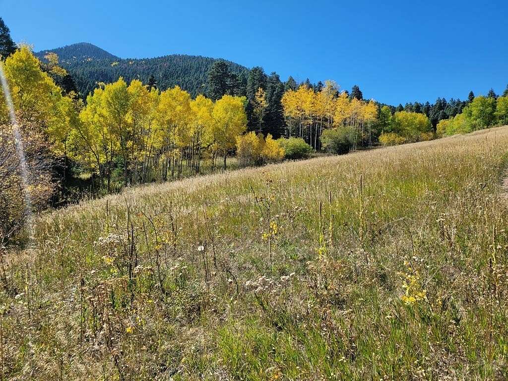 356 Acres of Recreational Land & Farm for Sale in Rye, Colorado