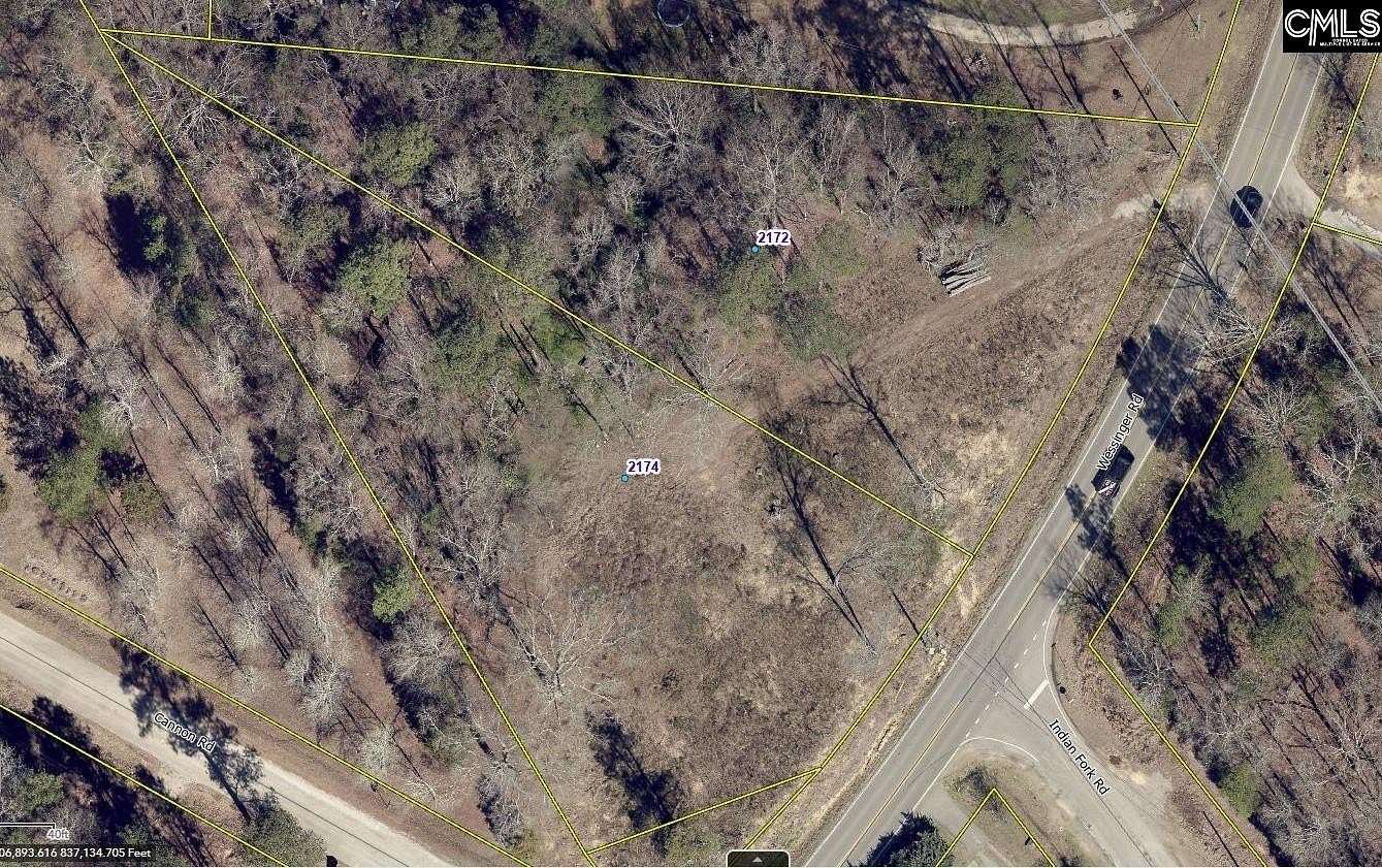 1.02 Acres of Mixed-Use Land for Sale in Chapin, South Carolina