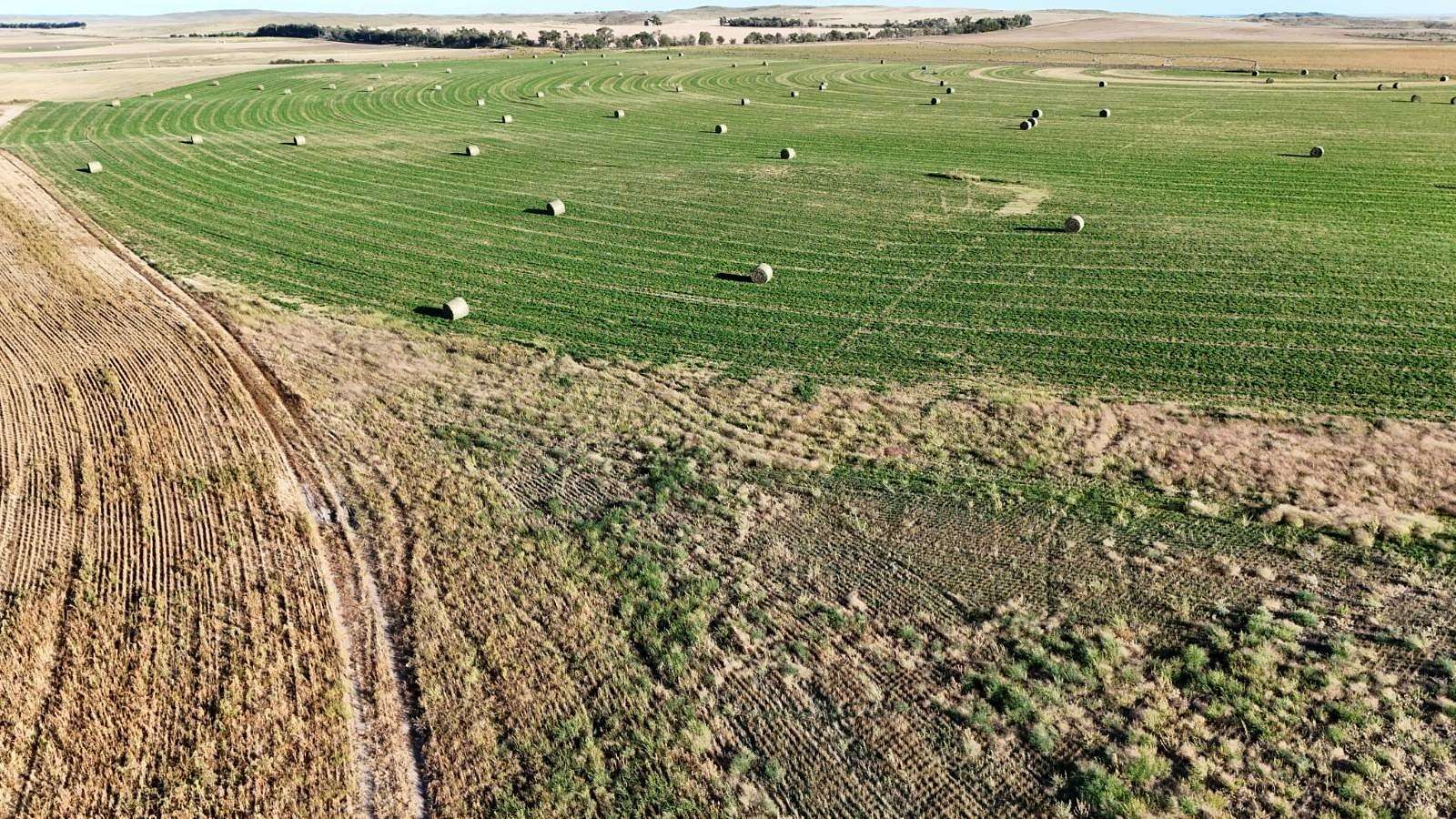 637 Acres of Land for Sale in Angora, Nebraska