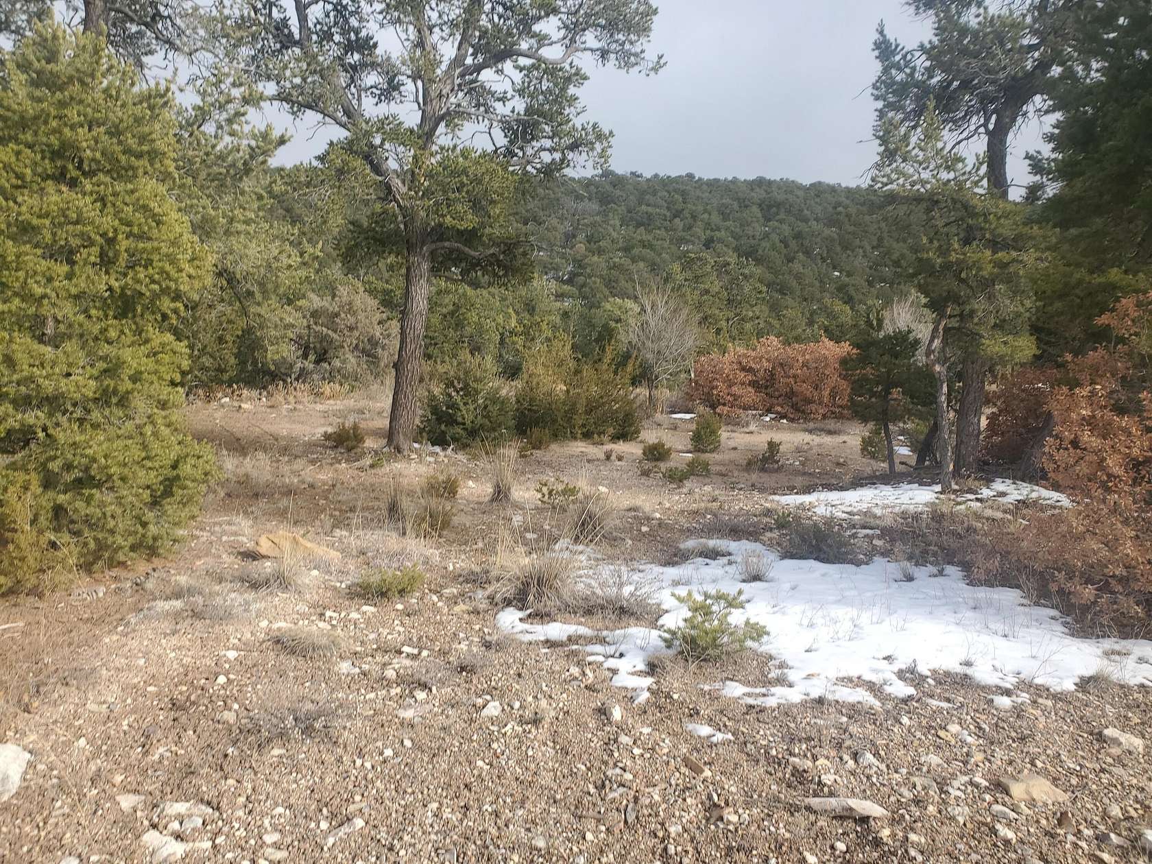 1.08 Acres of Residential Land for Sale in Tijeras, New Mexico