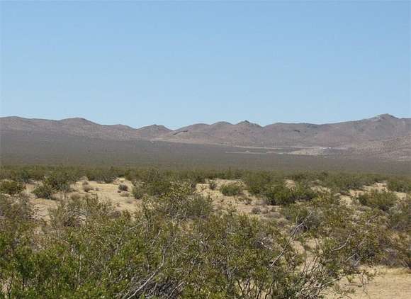 2.533 Acres of Land for Sale in Danby, California