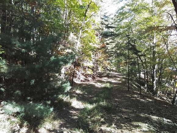 13.9 Acres of Recreational Land for Sale in Murphy, North Carolina ...