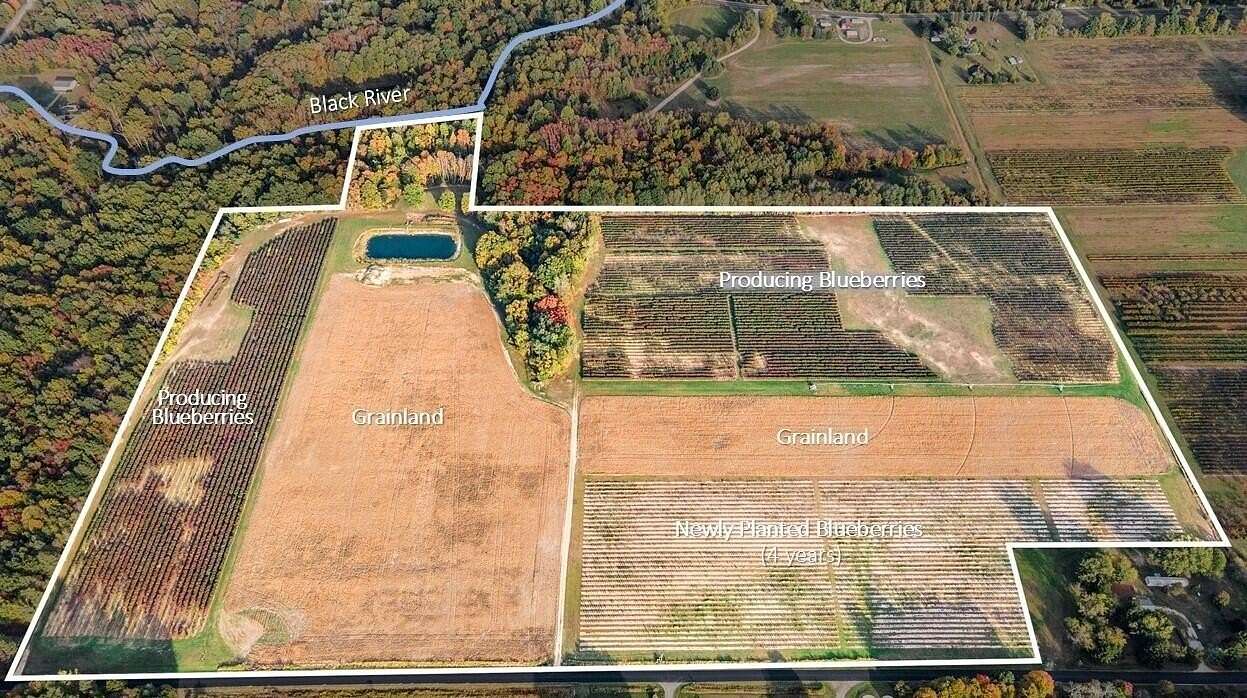 70.6 Acres of Land for Sale in South Haven, Michigan