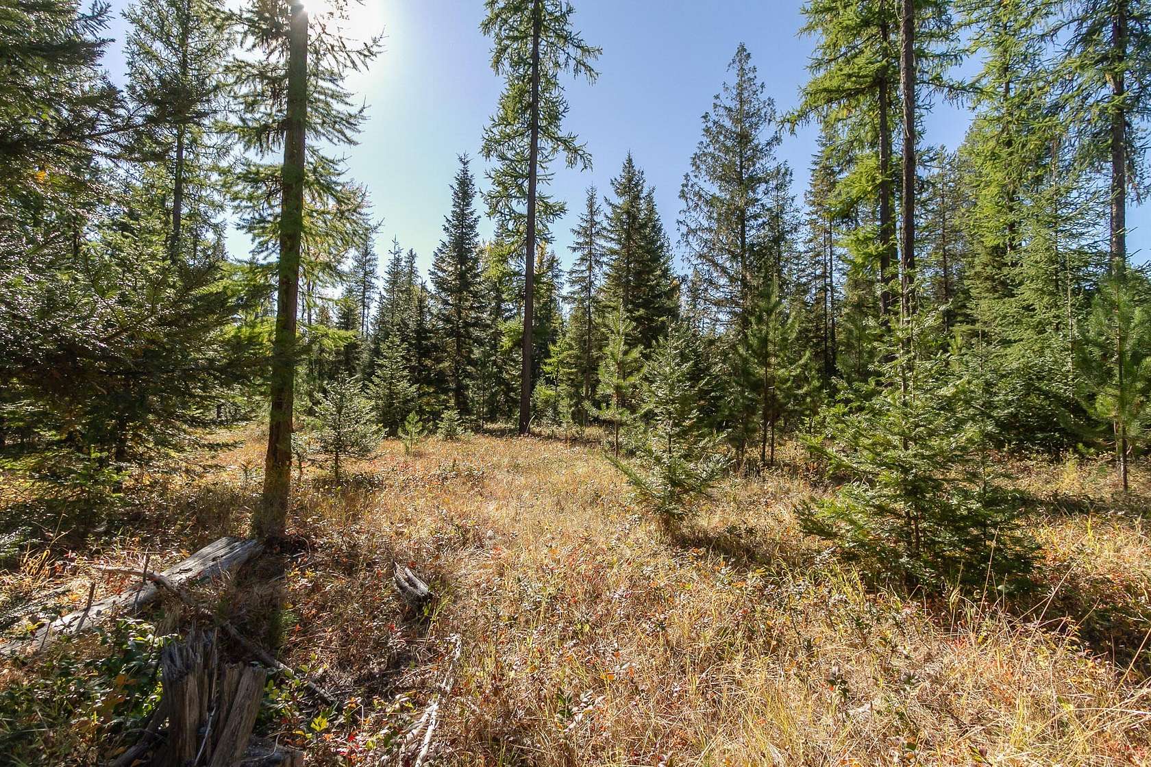 5 Acres of Residential Land for Sale in Ione, Washington