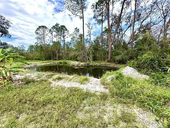 6.67 Acres of Agricultural Land for Sale in Mayo, Florida