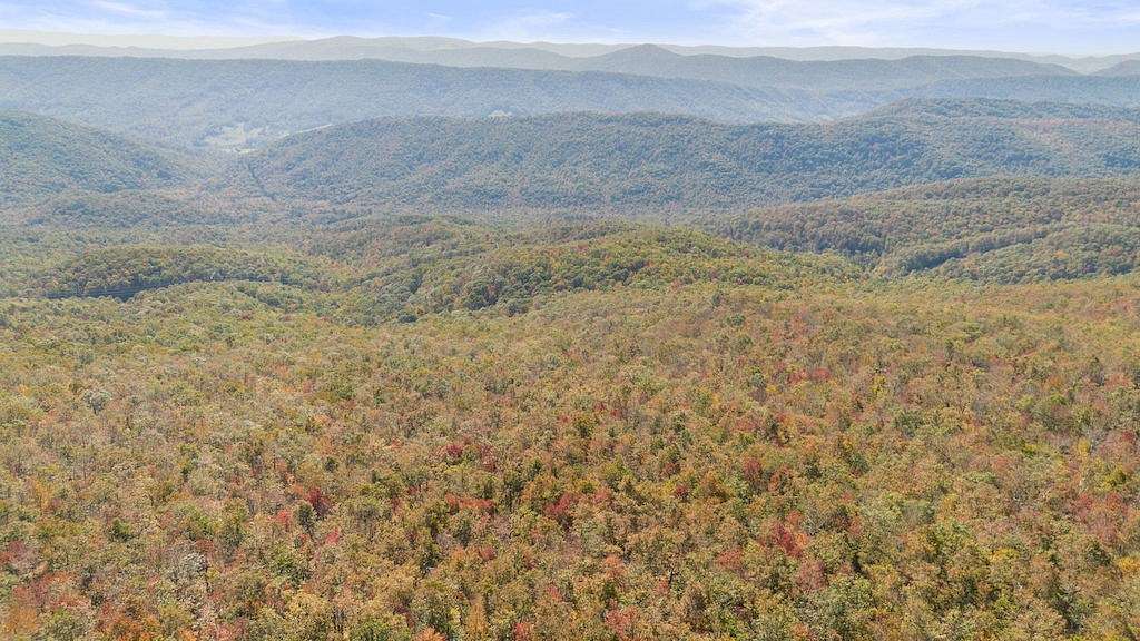 100 Acres of Land for Auction in Tazewell, Virginia