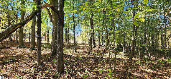 40 Acres of Recreational Land for Sale in Manton, Michigan