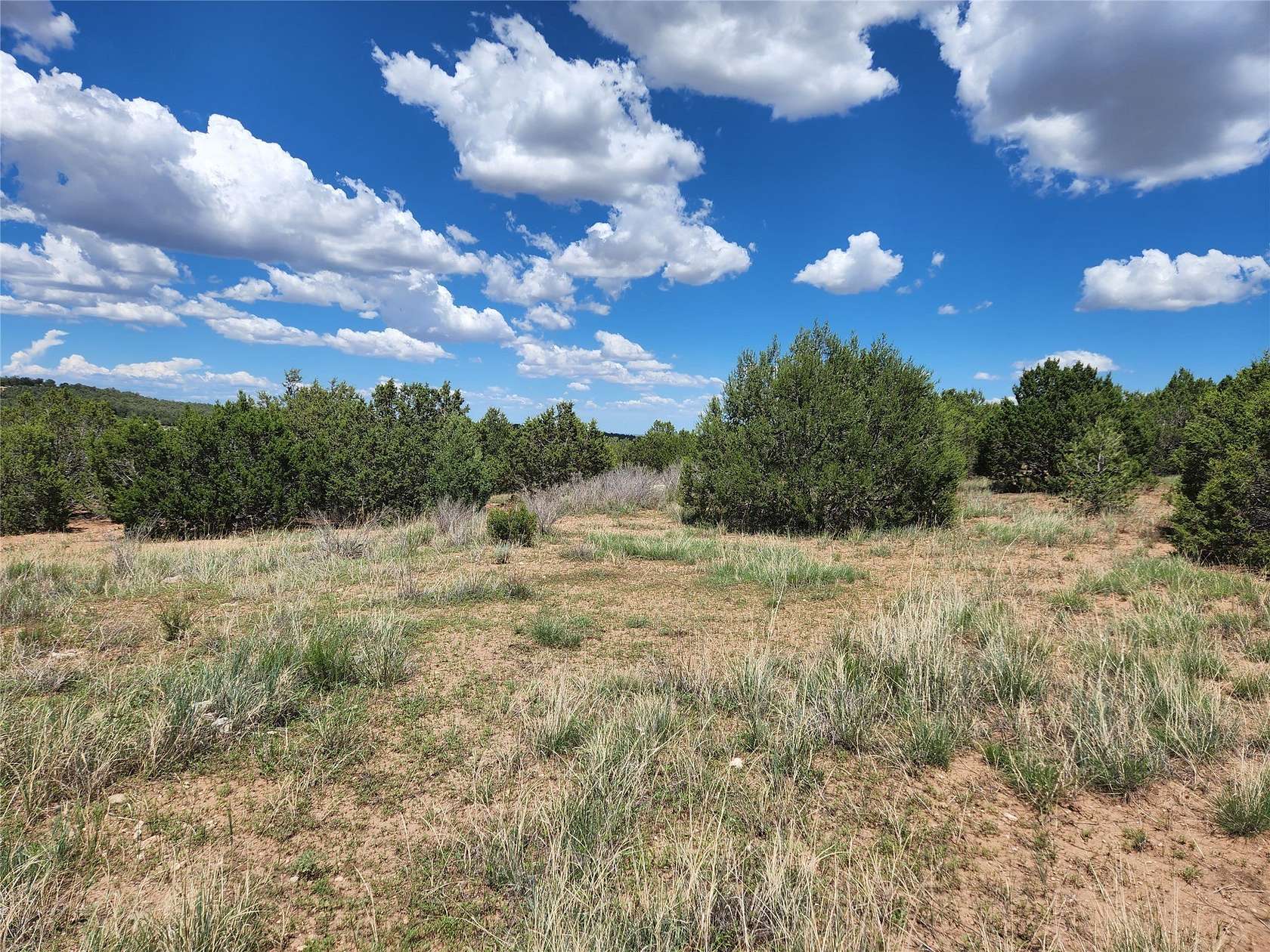 455 Acres of Land for Sale in Tijeras, New Mexico