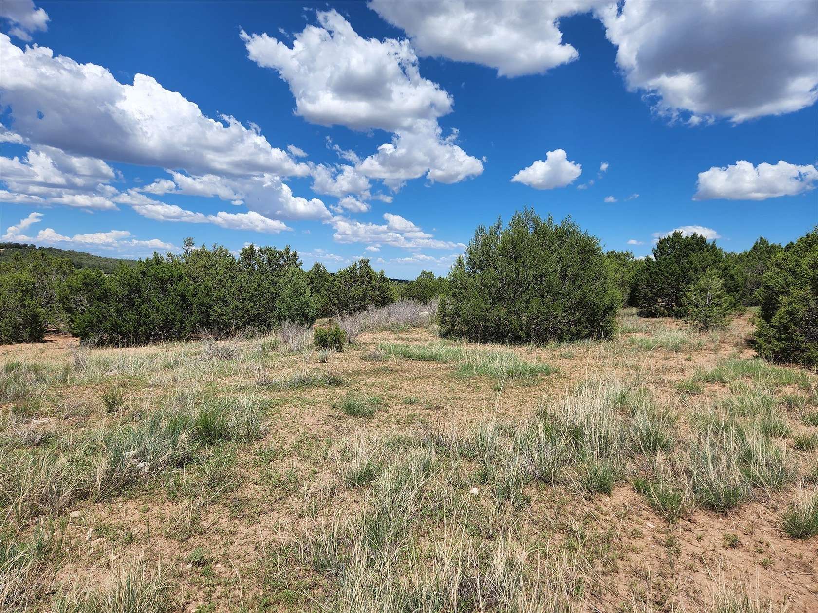 455 Acres of Recreational Land for Sale in Tijeras, New Mexico