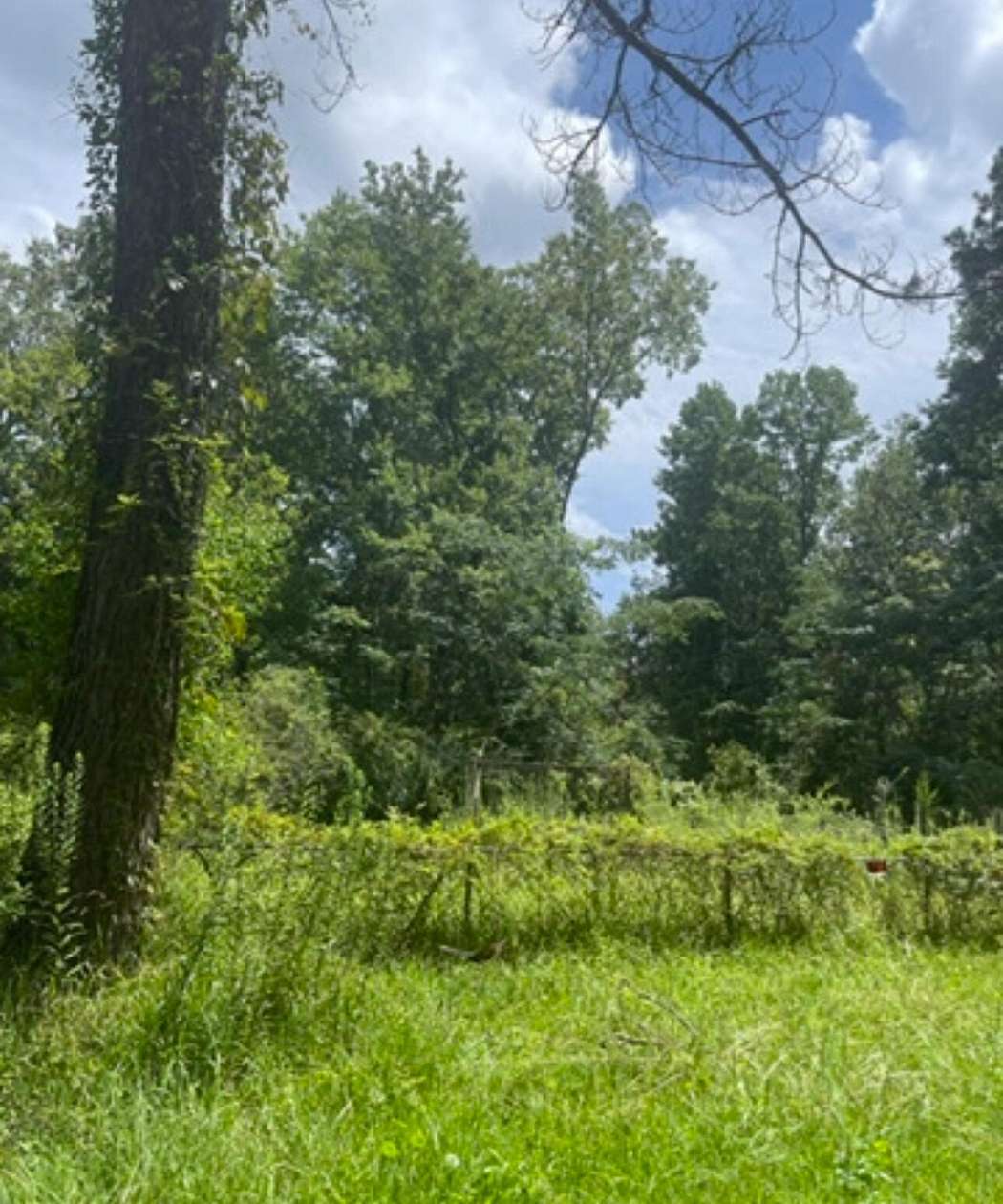 1 Acre of Land for Sale in Goose Creek, South Carolina